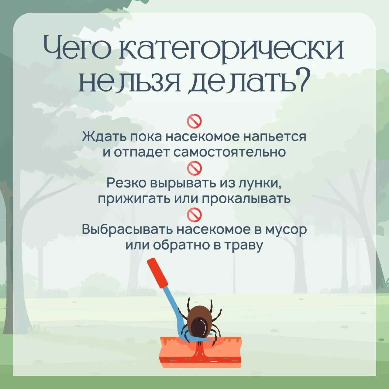 ОСТОРОЖНО, КЛЕЩИ! 🕷  🌿 В Приморье уже вовсю идет сезон активности зловредных насекомых. Как обезопас