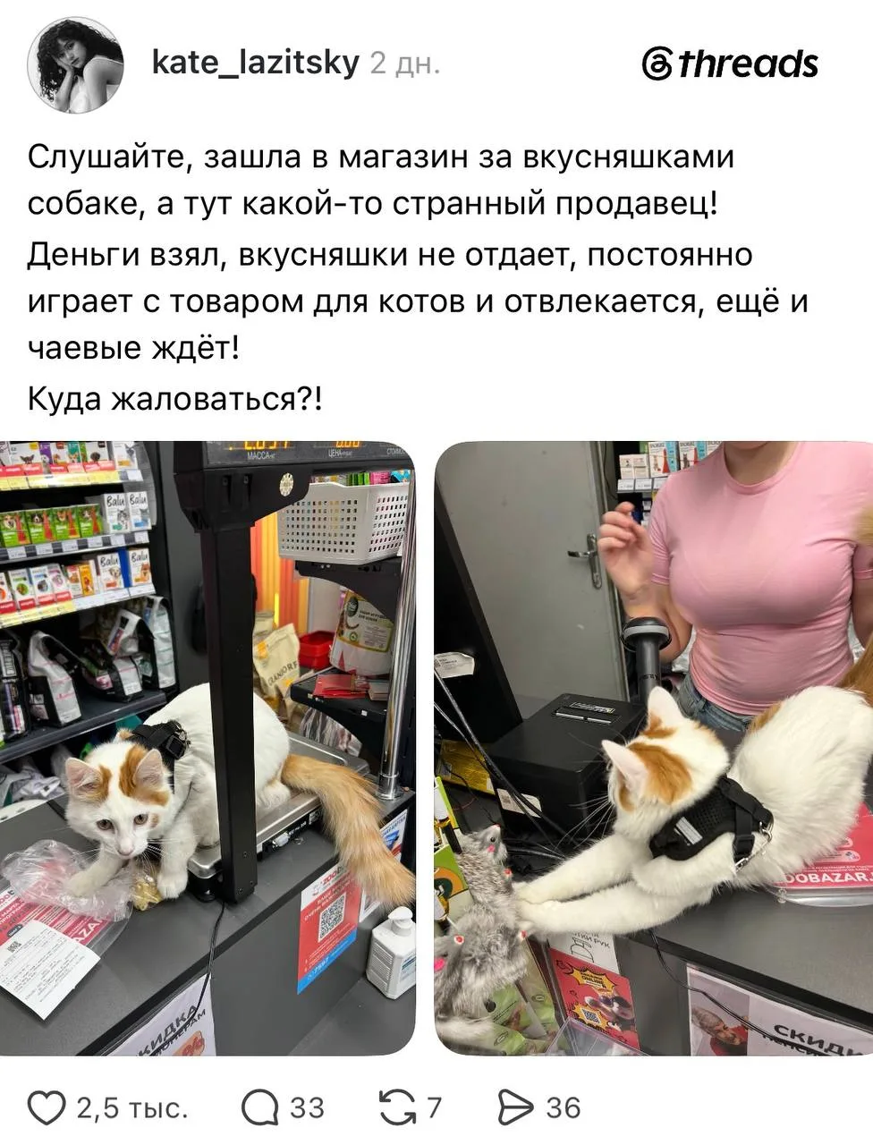 «Деньги взял, вкусняшки не отдаёт. Куда жаловаться!?»
