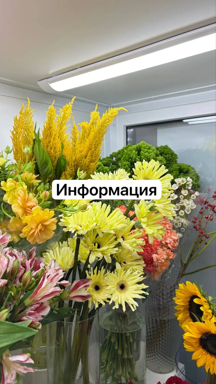 Бонусы только копим , не списываем на заказы ко дню знаний