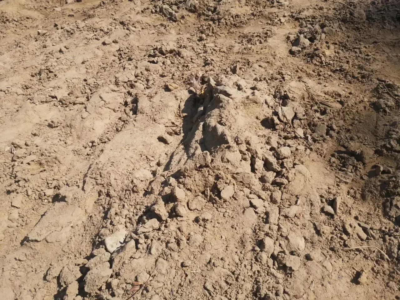 Барановский пляж, вот так обновили песок, это только пару кадров, весь склон засыпали комками из суг
