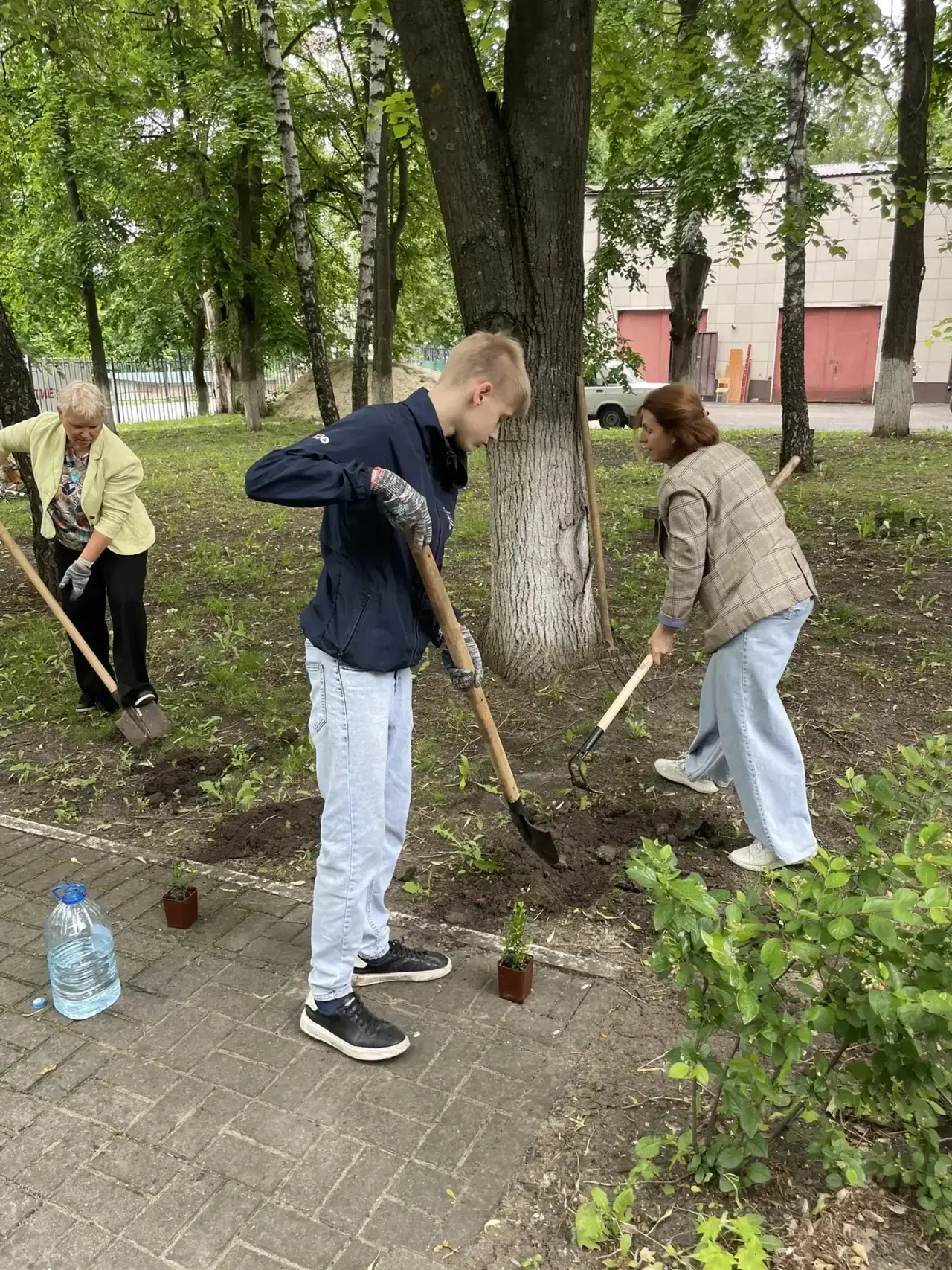 🌱 Важный вклад в сохранение истории: наши школьники из летнего лагеря труда и отдыха высадили самши