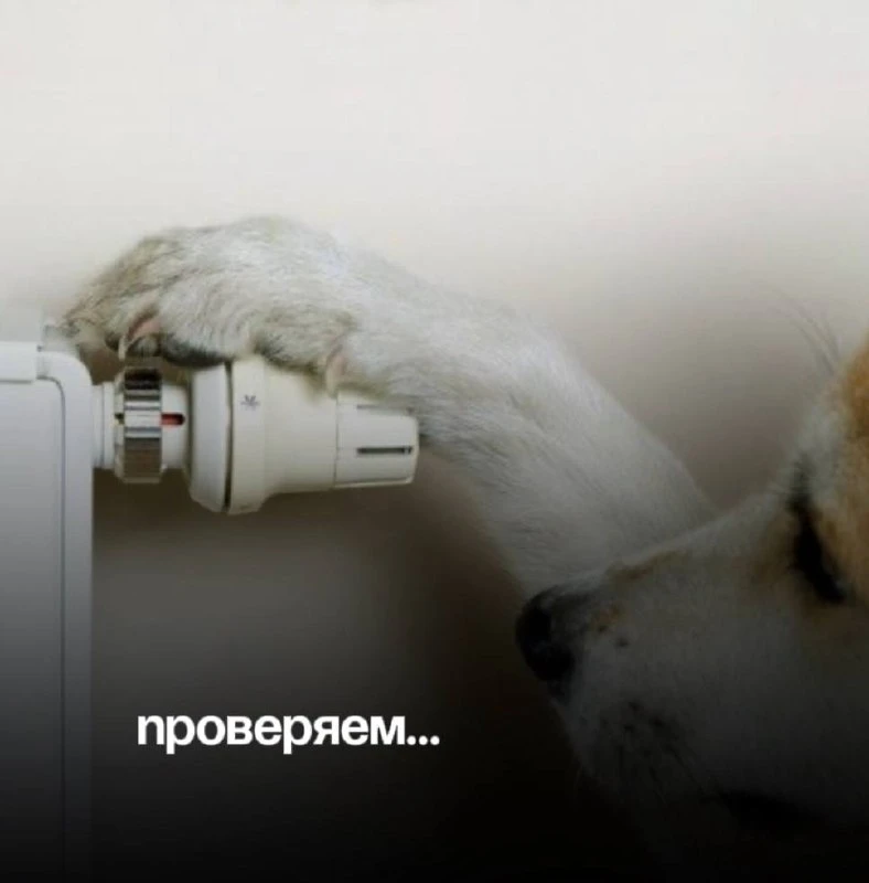 Время проверить свои батареи, поскольку в некоторых домах уже включили отопление. Расск...
