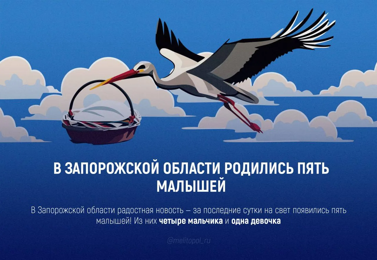 В Запорожской области родились пять малышей

В Запорожской области радостная новость — за последние 
