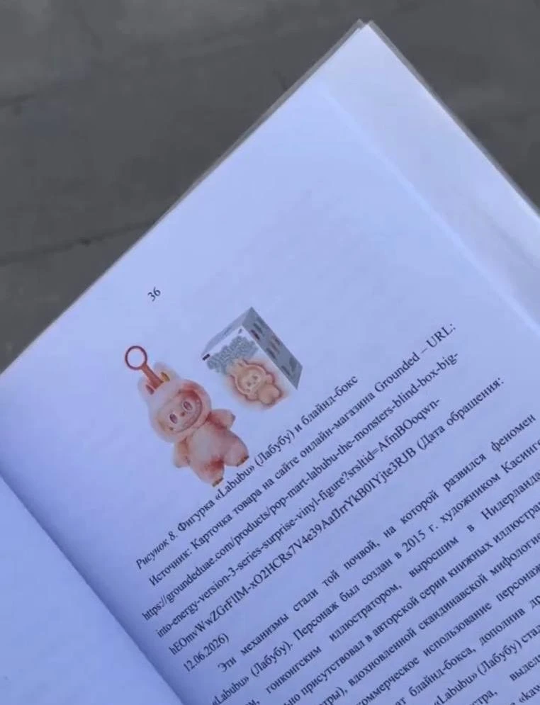 Лабубу стали темой для диплома — парень защитил его на отлично.