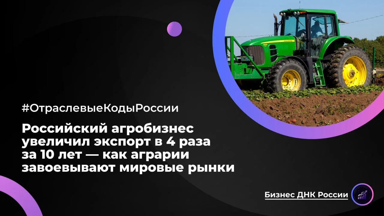 Российский агробизнес увеличил экспорт