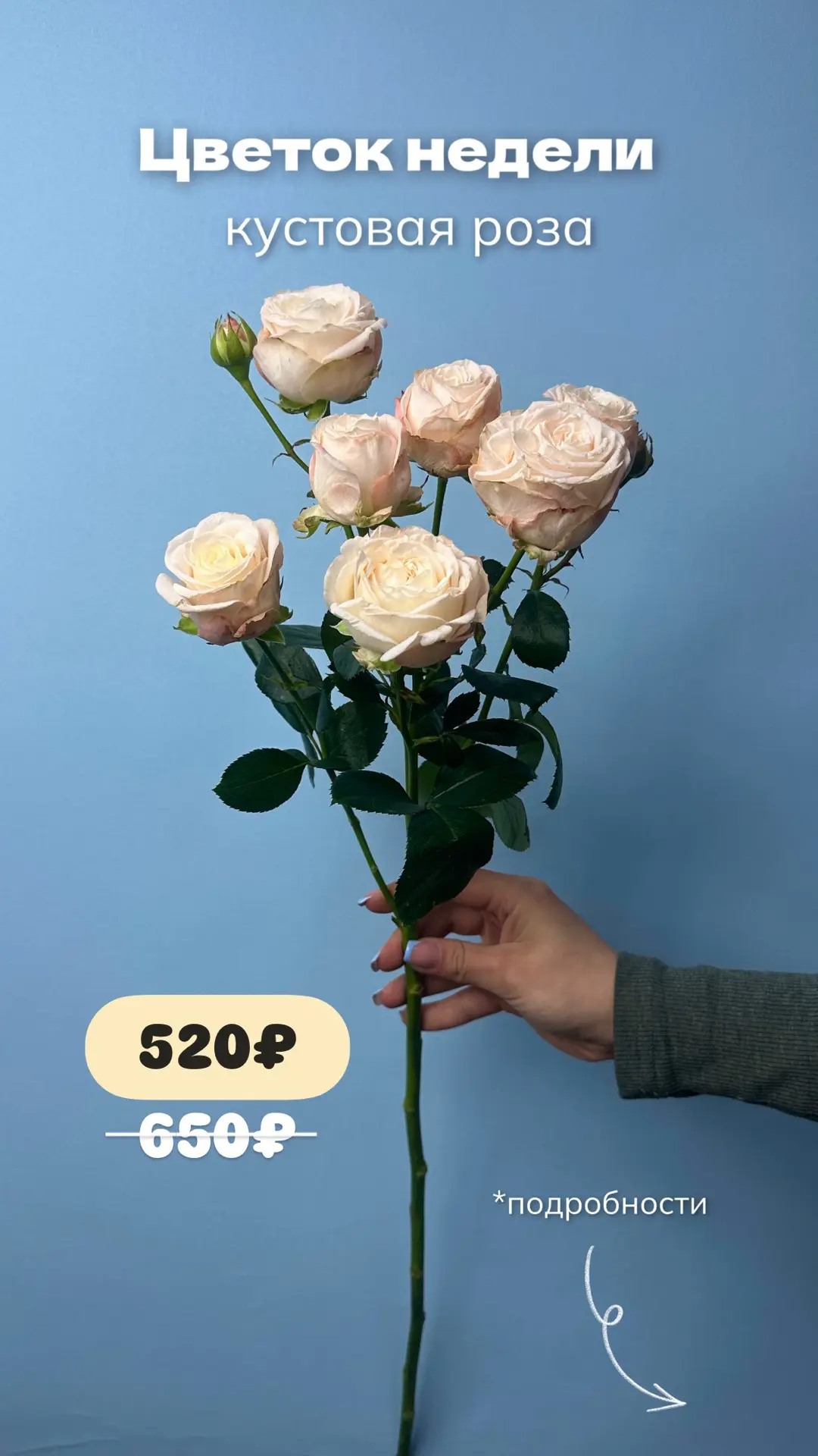🌸Цветок недели - КУСТОВАЯ РОЗА