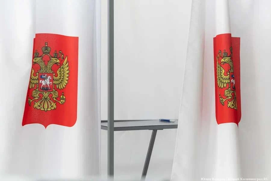 Новости Калининграда: снятие «Яблока», дорогу губернатору и мешочки с ящерицами