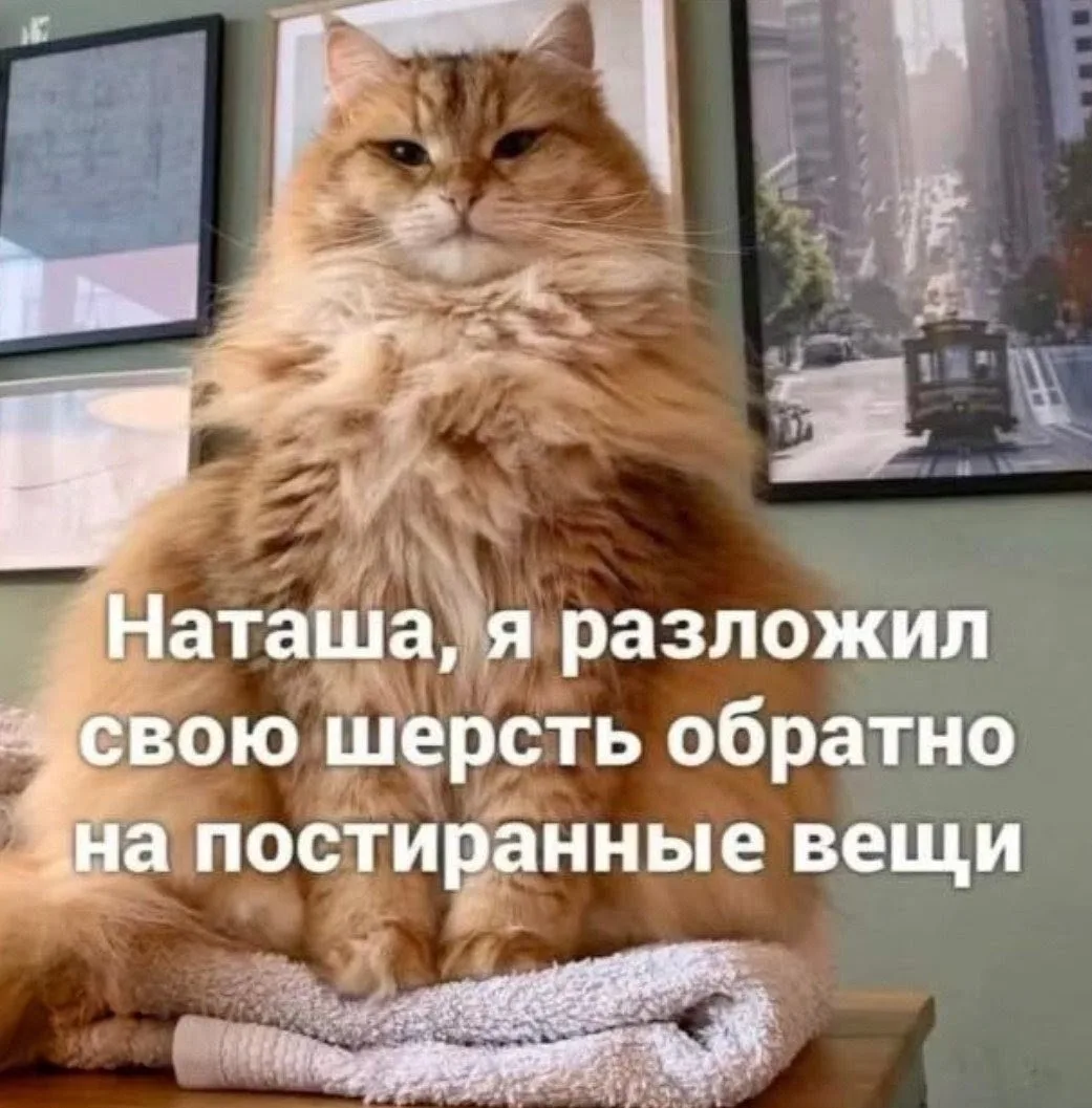 Доброе субботнее утро! 🤗