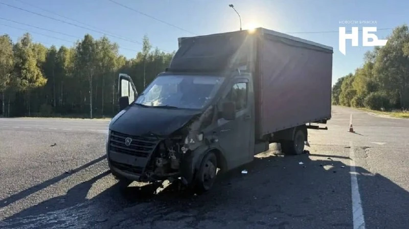 😱 На трассе в Комаричском районе под колесами грузовика погиб мотоциклист