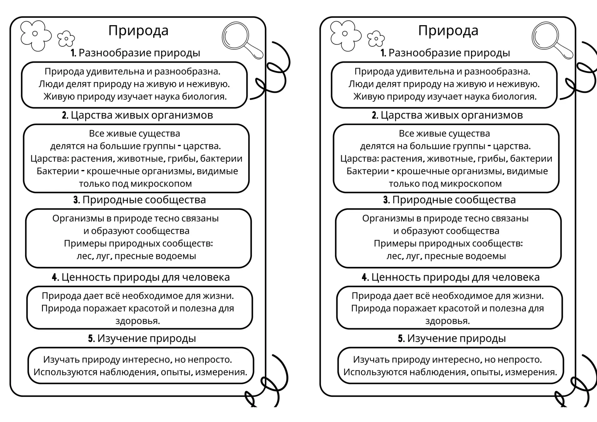 3 класс. Окружающий мир