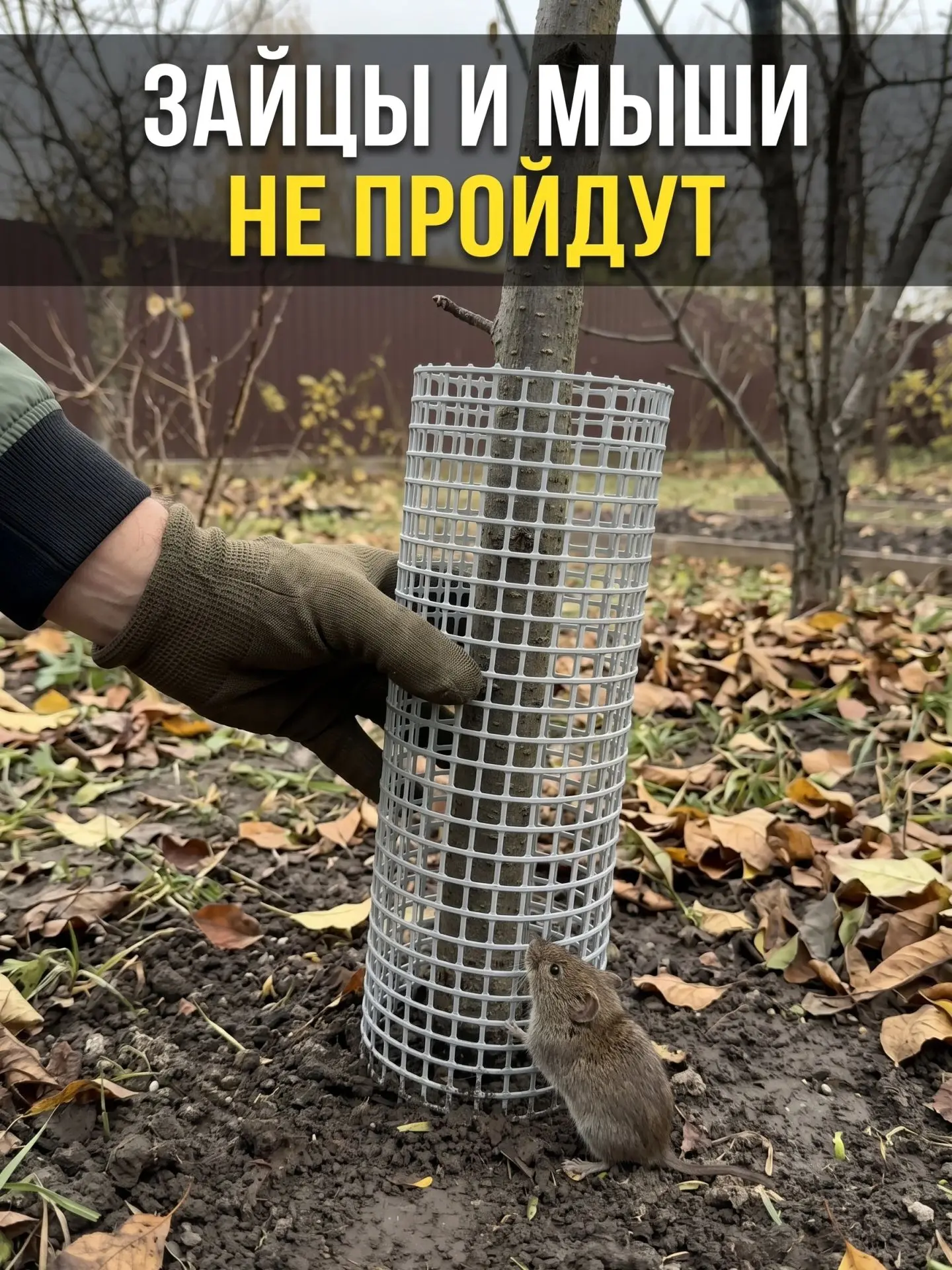 🐇 Зайцы и мыши не пройдут: защищаем стволы молодых деревьев правильно