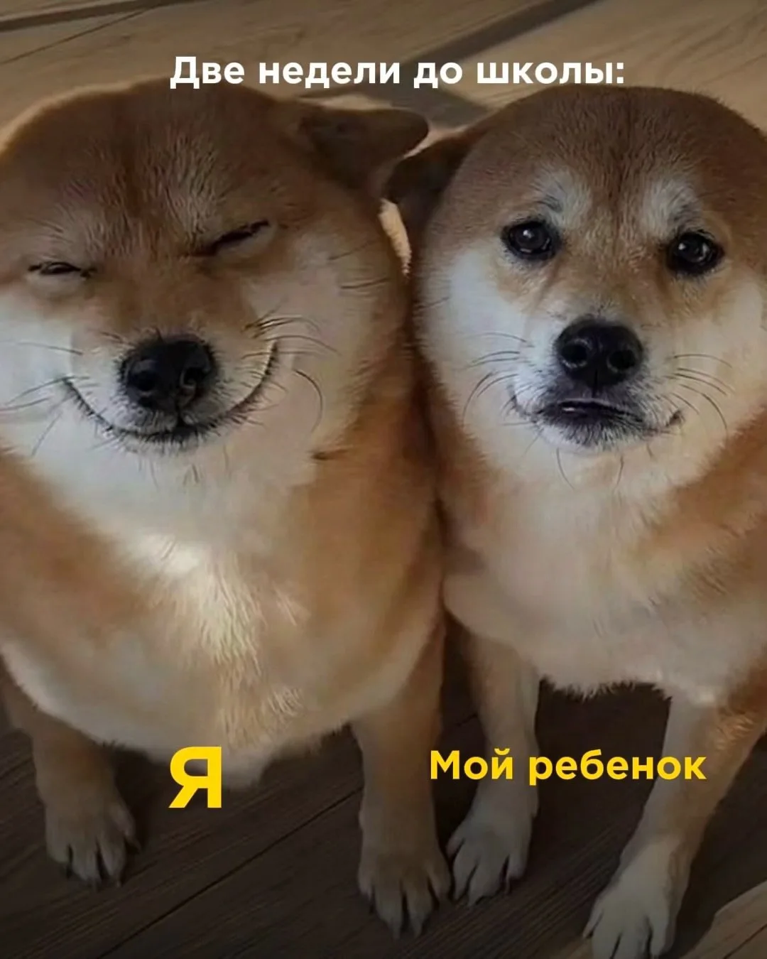 До школы осталось совсем чуть-чуть… 😂