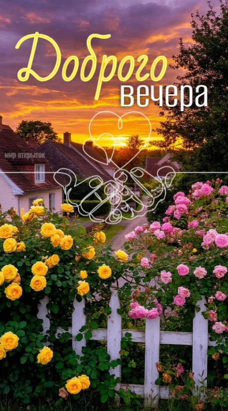 Фото