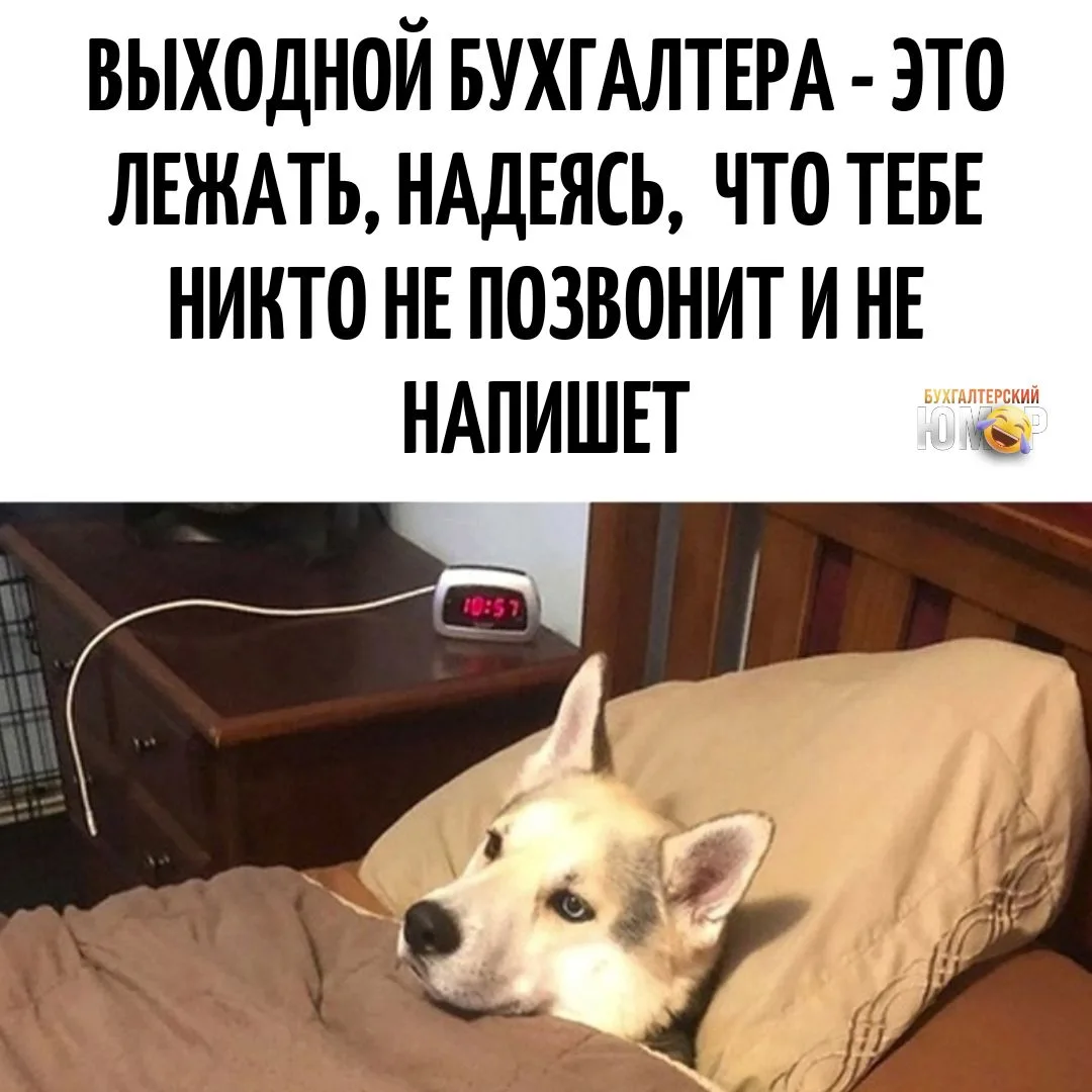 Коллеги, а как проходят ваши выходные? 😂