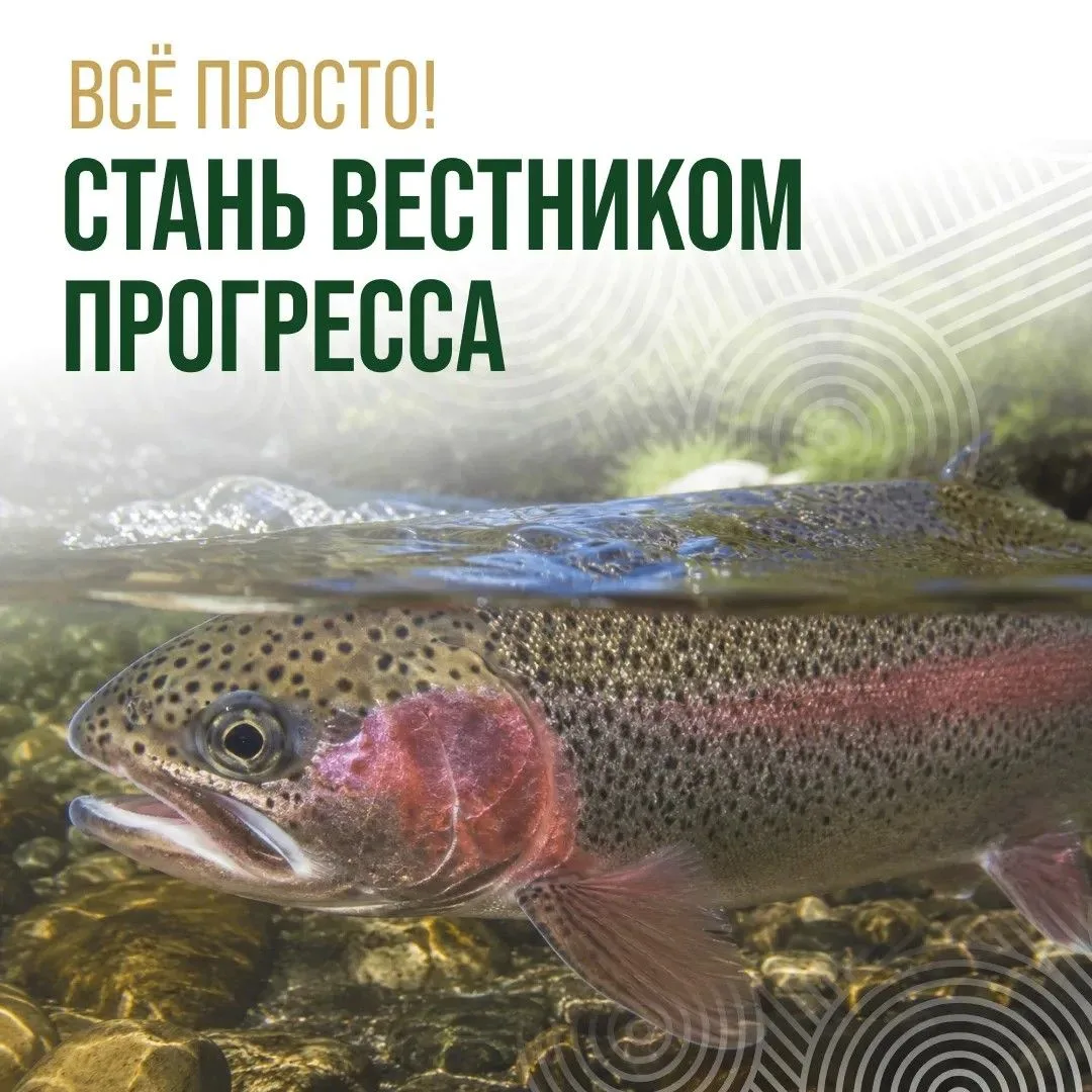 🐟💧✨ Сними сюжет, который удивит твоих городских друзей!