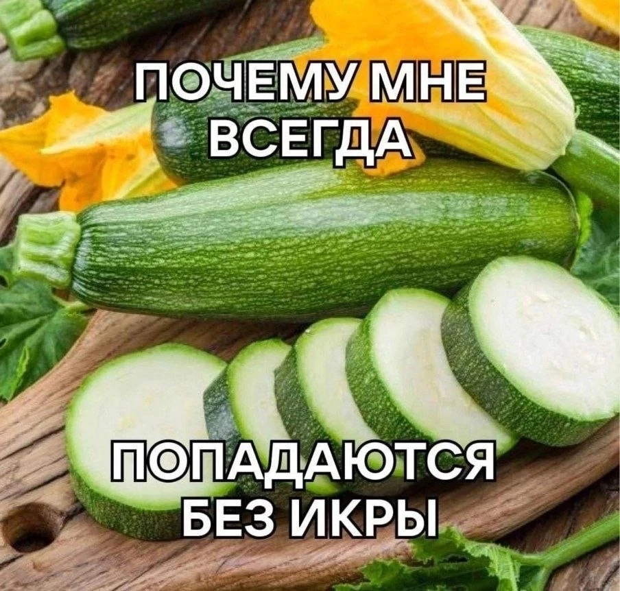 В Казани с 12 сентября возобновляются еженедельные сельхозярмарки. Торговые ряды с ферм...