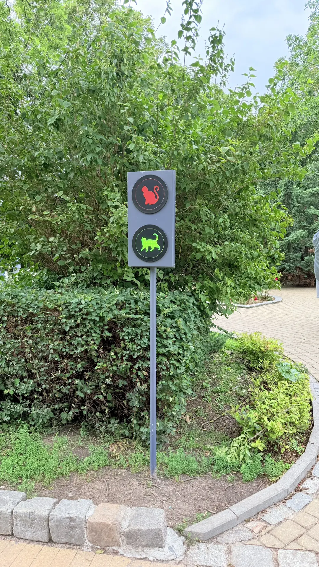 Всем привет 👋 немного скину зарисовок из города Зеленоградск Калининградской области!! 🏡 этот горо