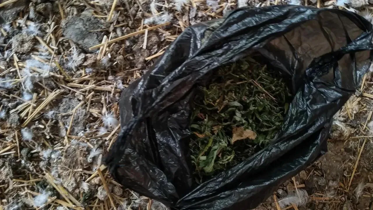 В Красногвардейском округе трое подростков подозреваются в незаконном хранении наркотич...