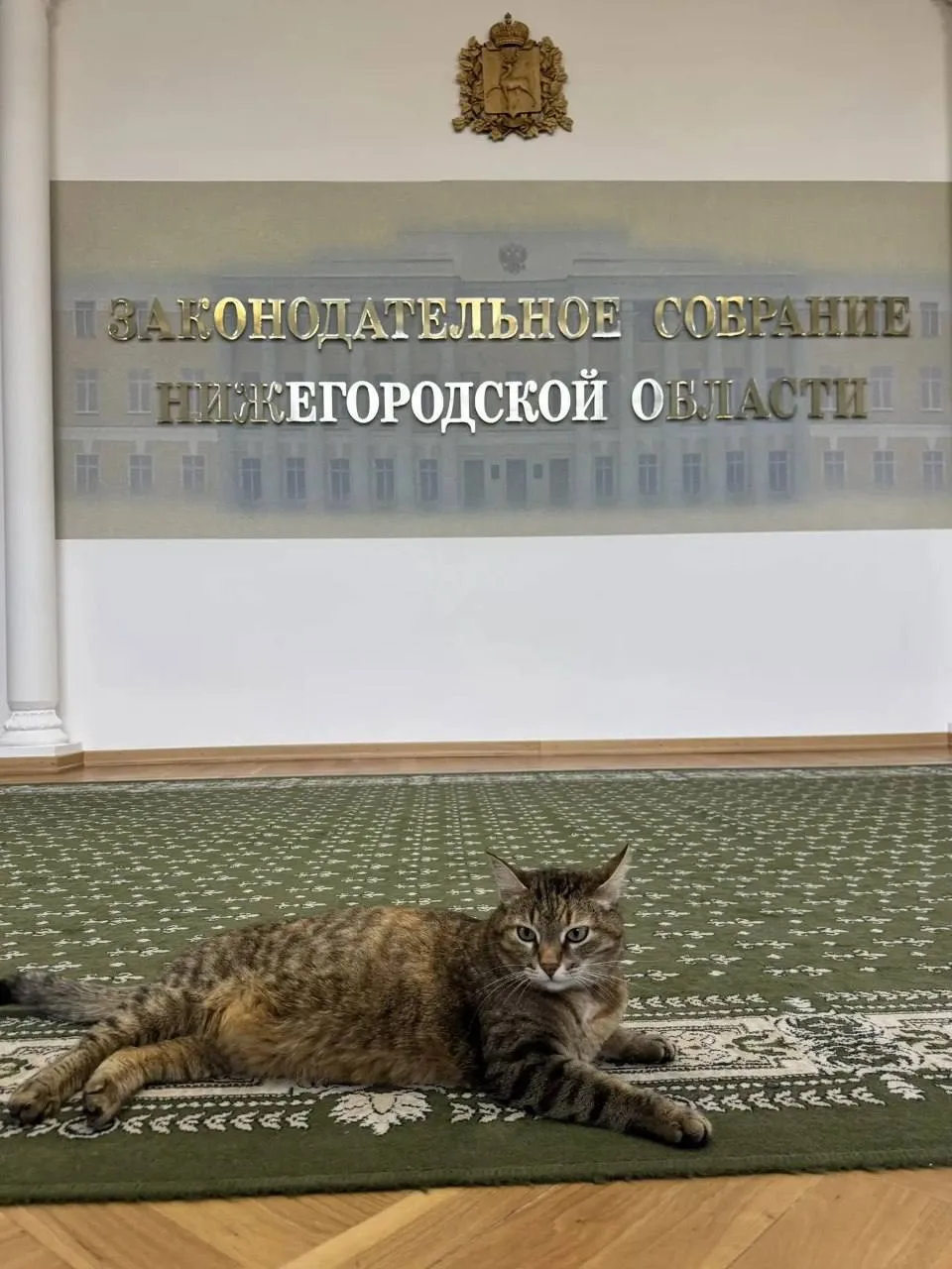 Похоже, найдена самая милая работница в нижегородском заксобрании.
