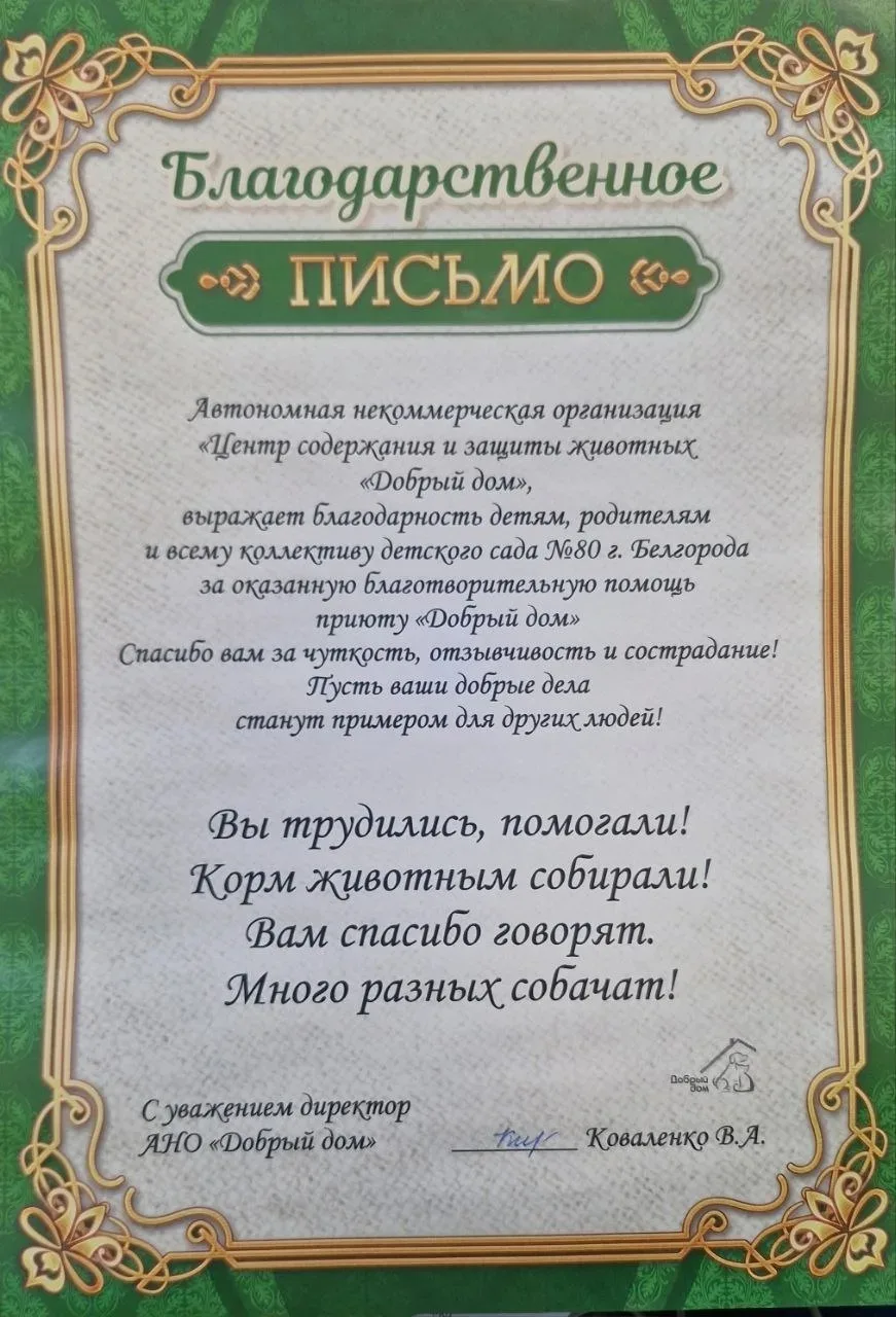 Протяни руку лапам 🐶🐕🐕‍🦺🐶
