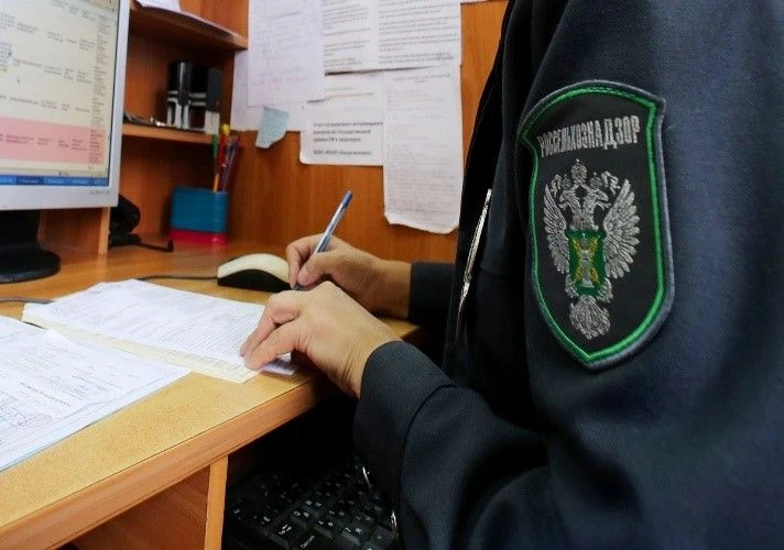 Россельхознадзором согласовано более 100 заявлений на перевозку животных за пределы Там...