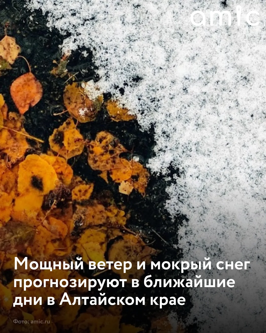 В Алтайском крае ожидается ухудшение погоды до конца дня 6 октября и в первой половине ...