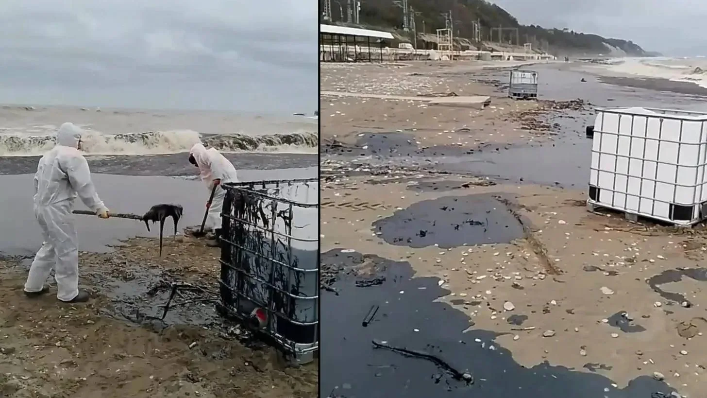 В Черном море уровень химических веществ вырос в 10 раз, Азовское — одно из самых загрязненных

Росп