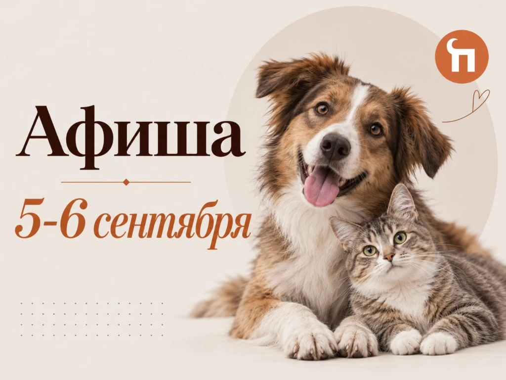 🐩Выходные с питомцем: куда сходить 5–6 сентября?