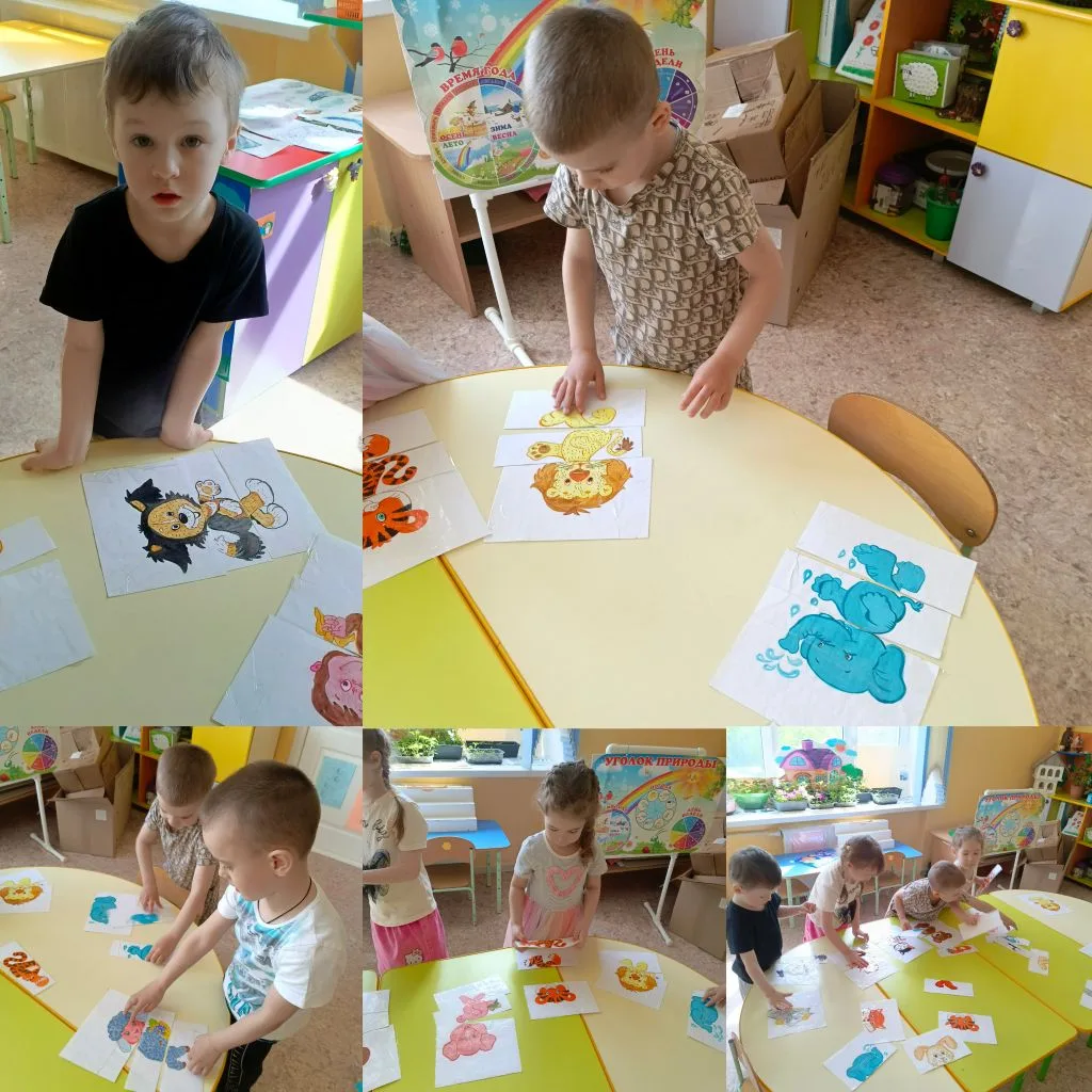 🦊🐯🦒 Увлекательная игра для юных зоологов! 🦝🐘🦜