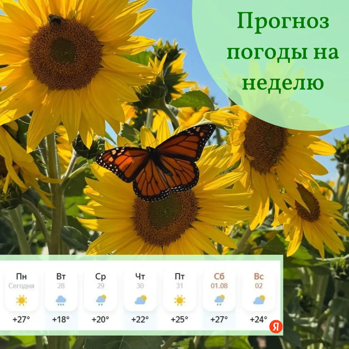 ☀️Доброе утро, друзья! 

Лёгкого понедельника!
Успешной и плодотворной рабочей недели! 

Делимся про