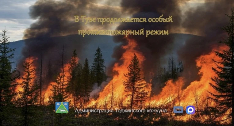 Внимание, жители Тоджинского кожууна! До 5 июля 2026 года в республике действует особый противопожар