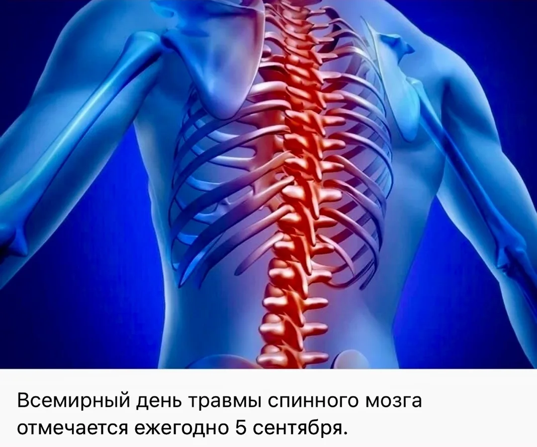 Он был создан для повышения осведомленности о проблемах, с которыми сталкиваются люди с...