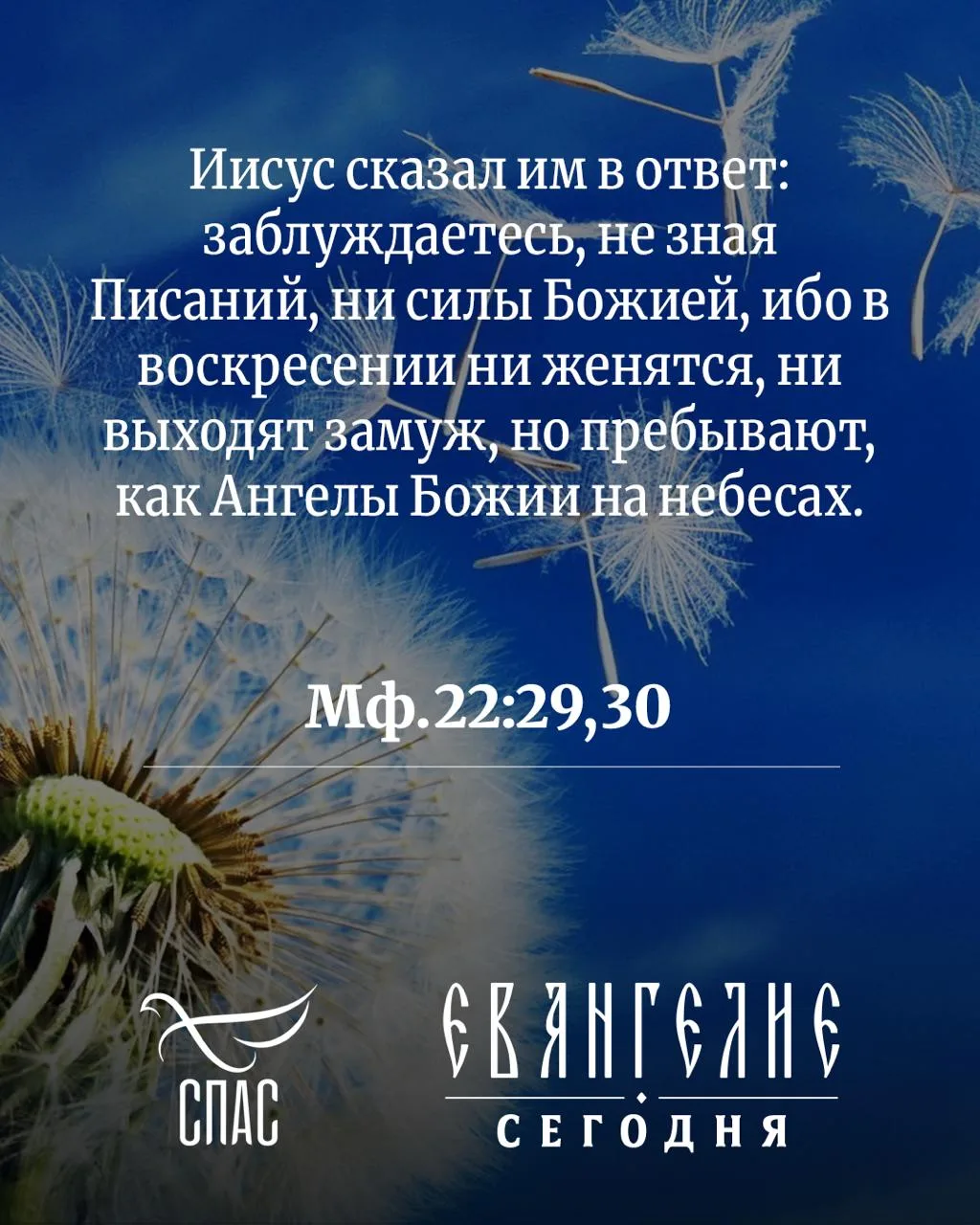 Евангелие от Матфея