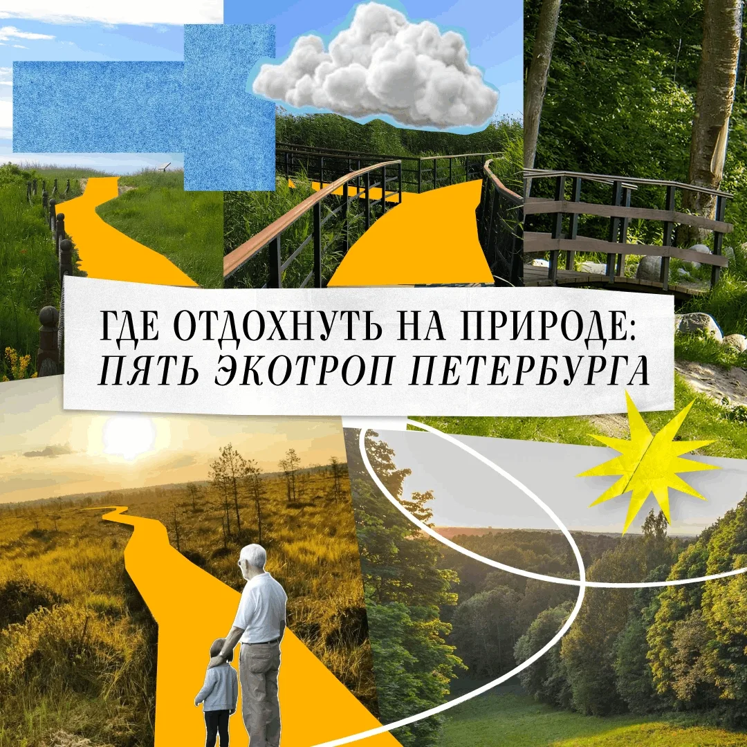 Чтобы новые знания лучше усваивались, нужно давать себе отдохнуть — и лучше всего это д...