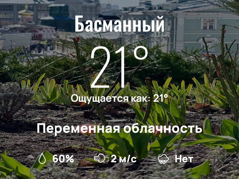 Что с погодой в Басманном?