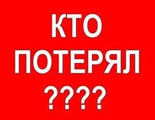 Здравструйте. Сегодня в районе дома  Чайковского 75 замечен зверек, похожий на соболя. ...