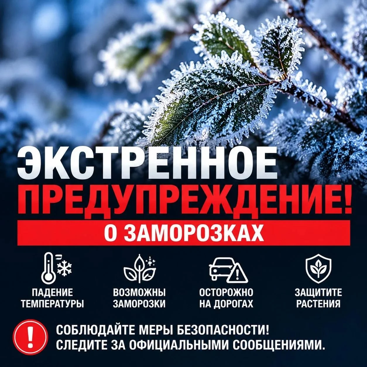По данным Краснодарского гидрометцентра, в период с 3 по 6 октября на территории Брюхов...