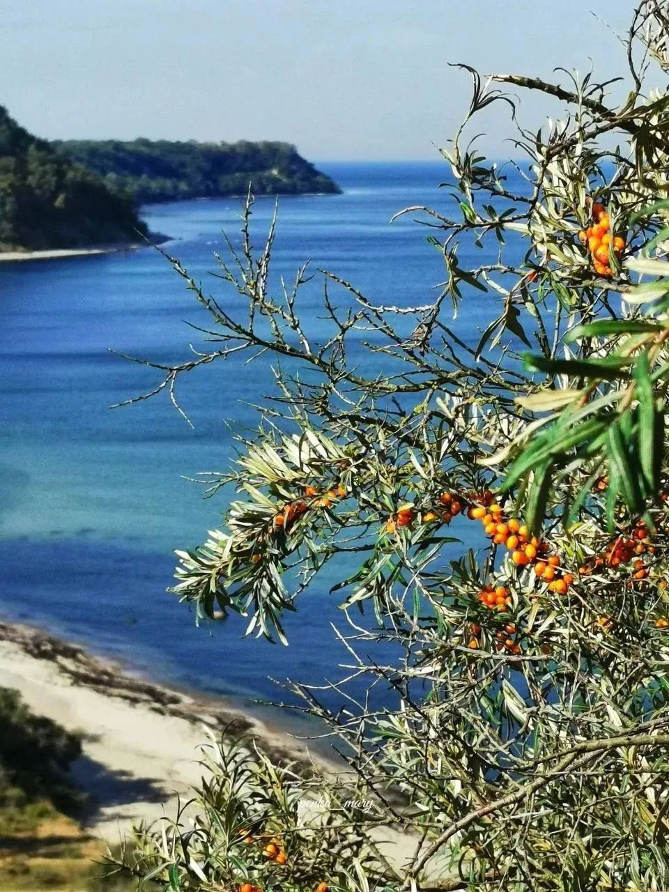 Филинская бухта очаровательна в любое время года 🍁