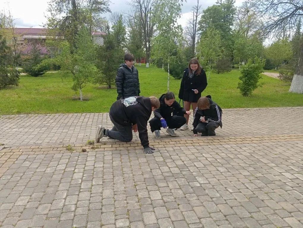 23 апреля на территории Афипского городского поселения состоялся Всероссийский субботник, объединивш