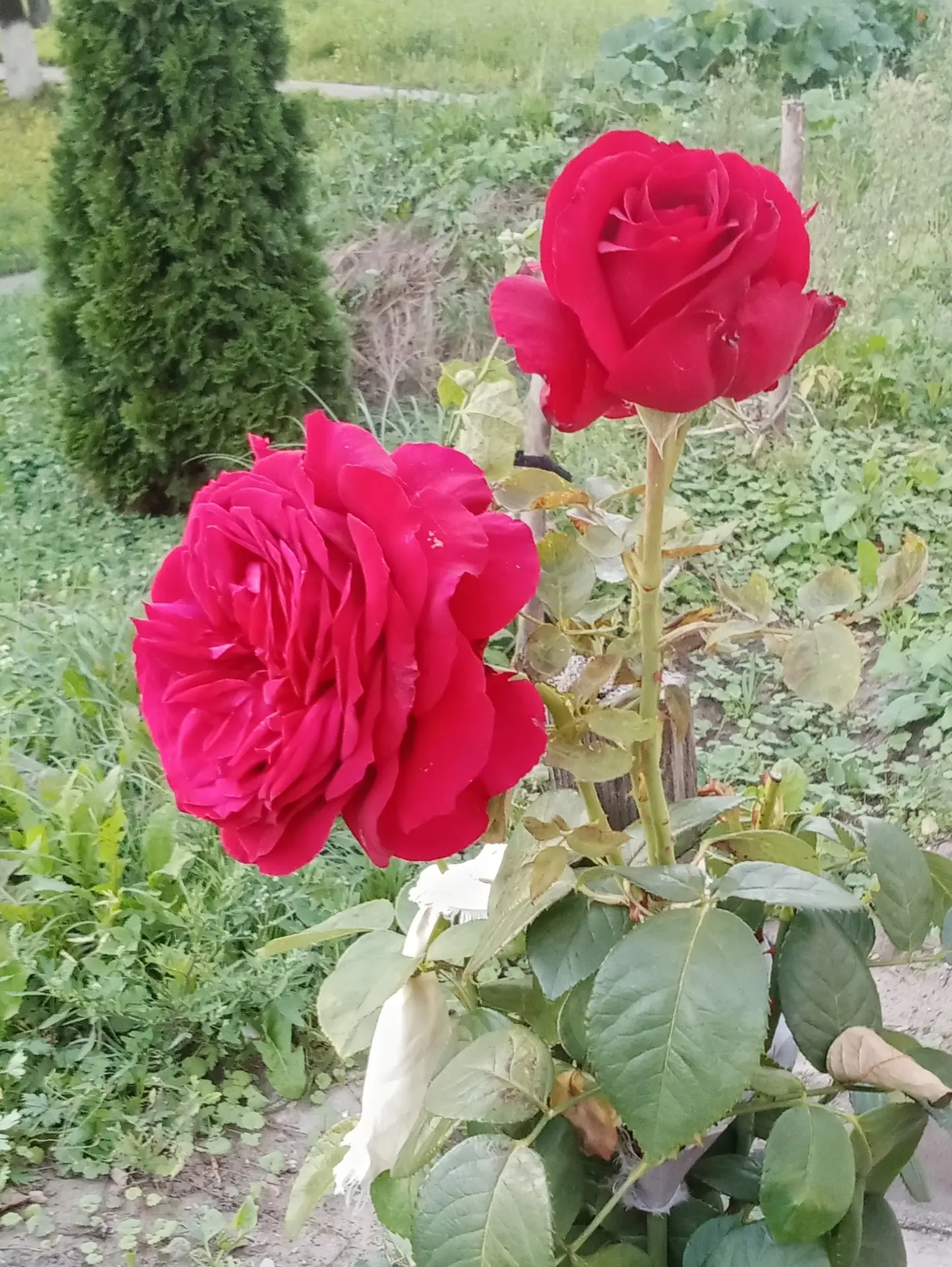 КРАСИВАЯ ❤️ БАЛАШИХА
