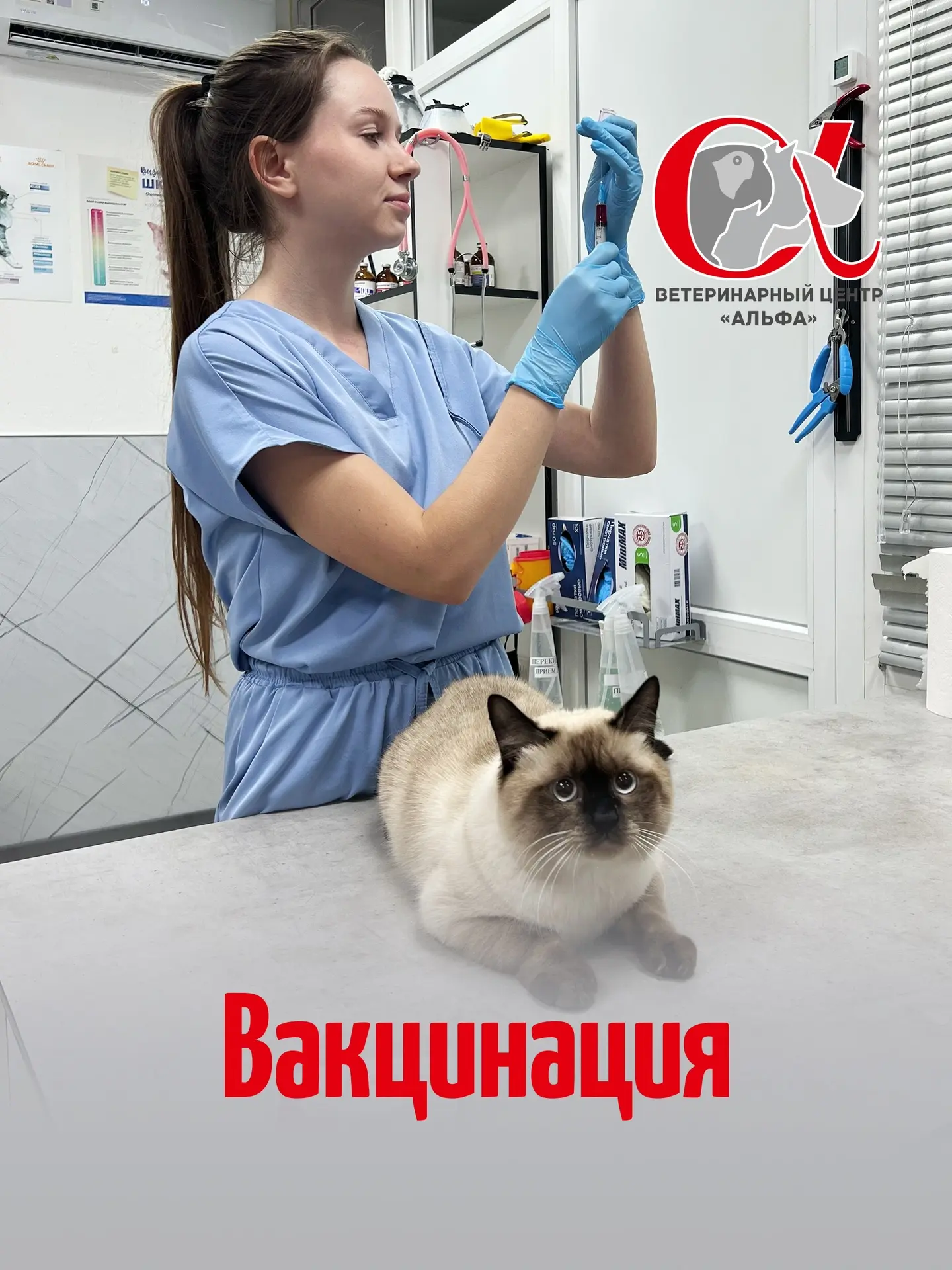 Сегодня хотим напомнить вам о важности своевременной вакцинации питомцев❗️