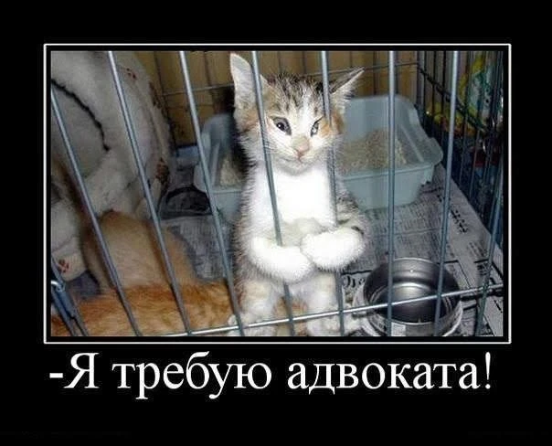 📢 ЗАВТРА — ТЕМА ДНЯ: АДВОКАТ ⚖️👩‍⚖️