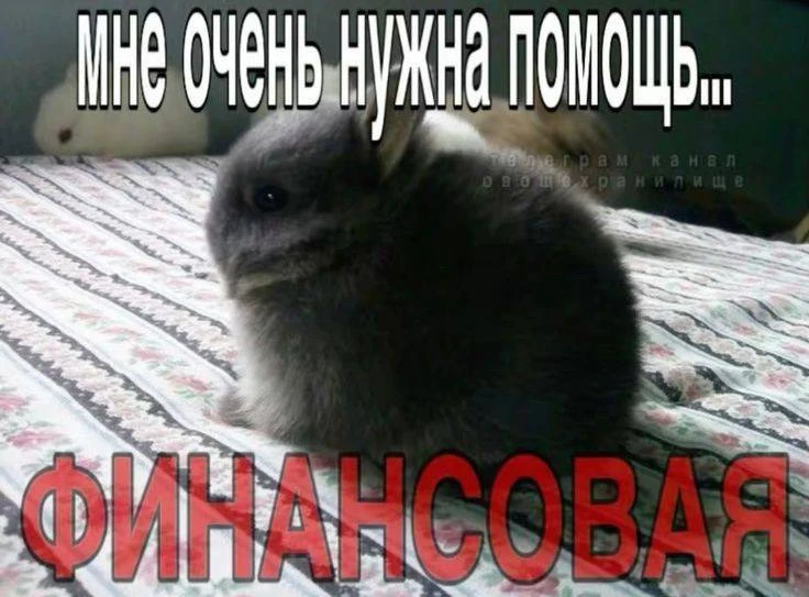 КОЗЕРОГ, 6 октября. Тебе нужна помощь - финансовая
