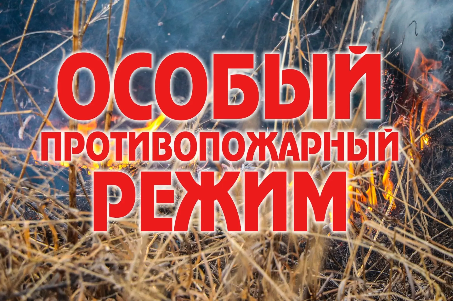 В Калининском округе установлен особый противопожарный режим
 
Согласно постановлению №1791 от 10 ию