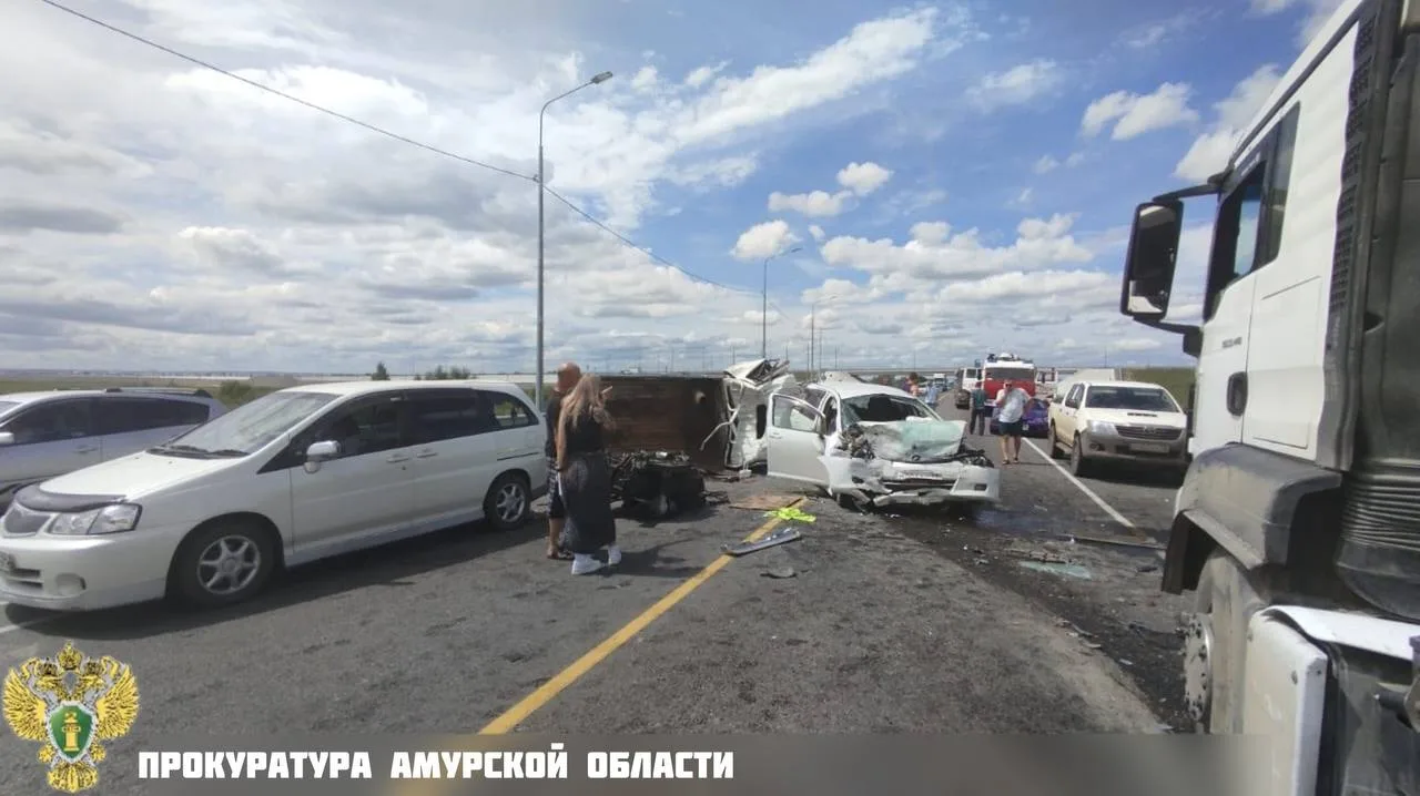 В Благовещенском муниципальном округе прокуратура направила в суд уголовное дело о смер...