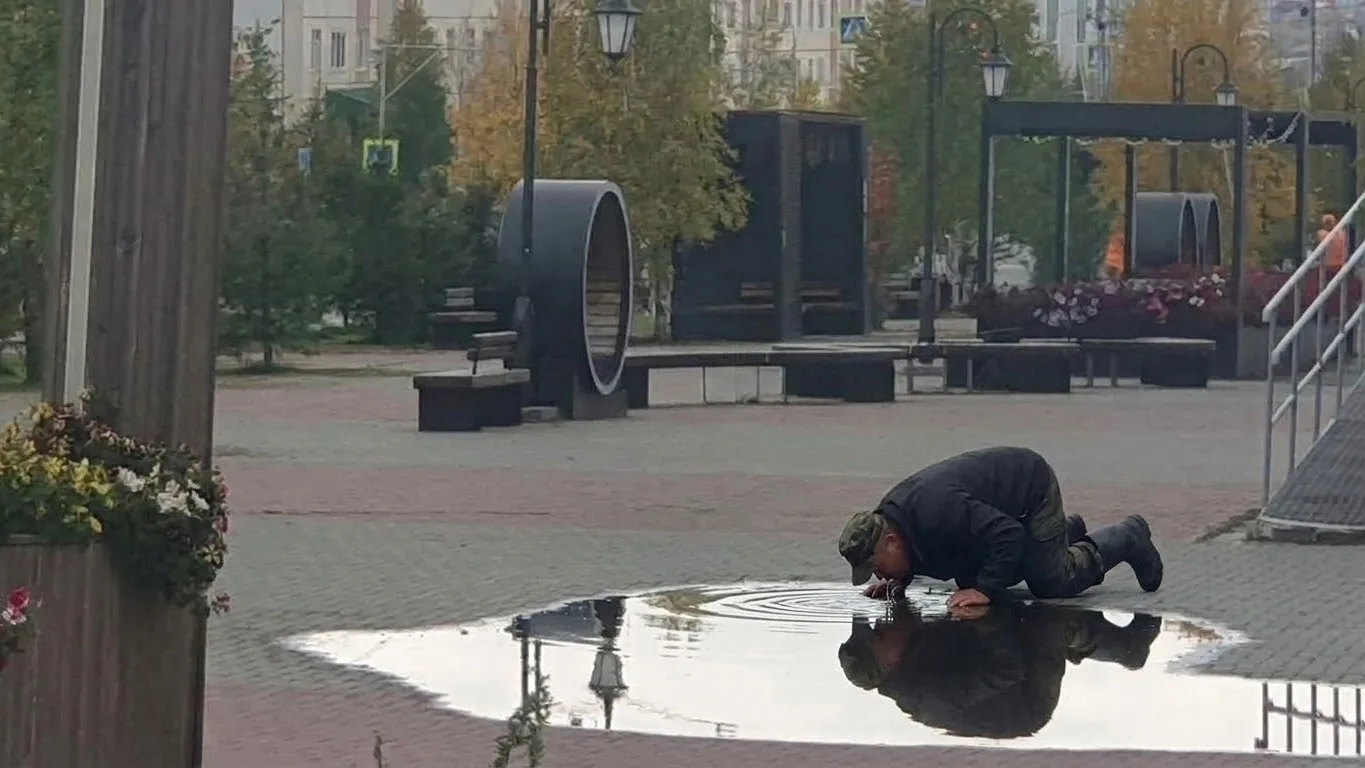 Вот это сушняк у кого-то! 🤣