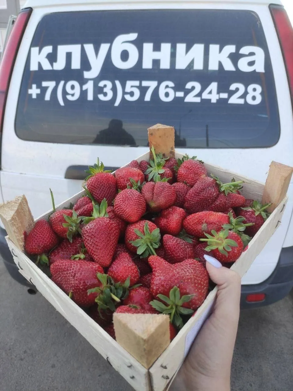🍓 Вкусное начало ягодного сезона  На солнечных полях Кыргызстана уже поспевает ароматная клубника, и