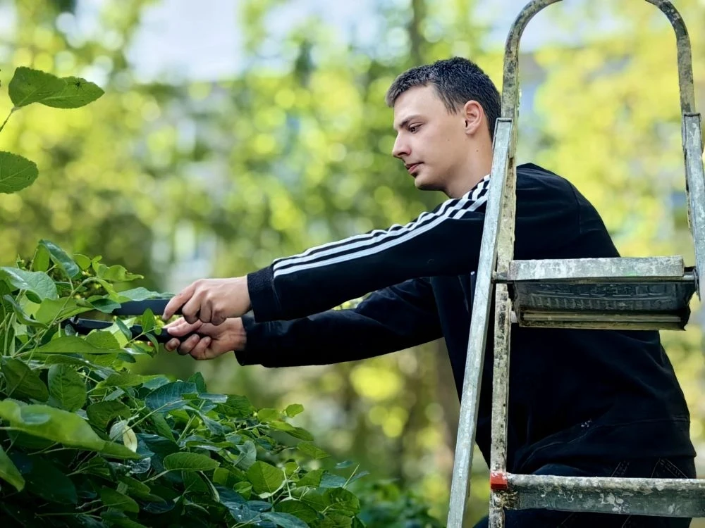 🌿 Наш школьный двор становится краше! 🌿

С 15 июня на территории нашей школы снова закипела работа
