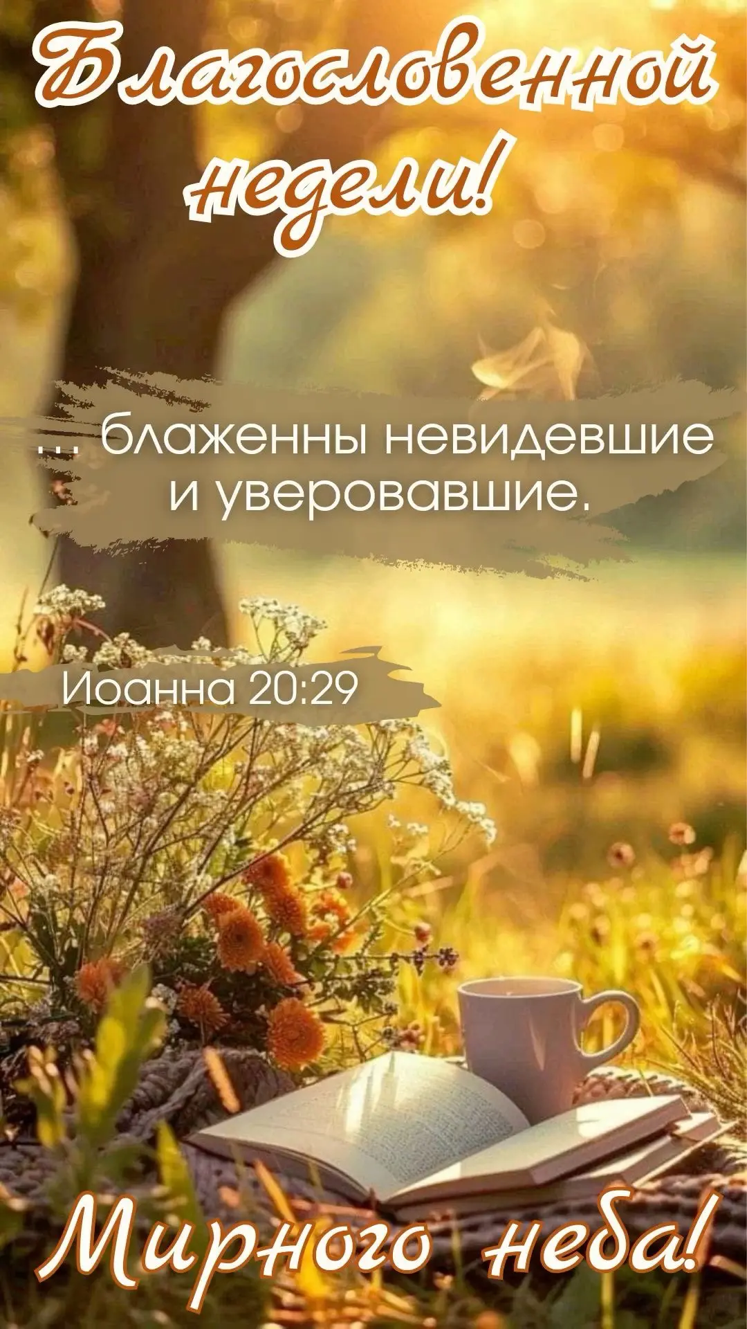 7 сентября