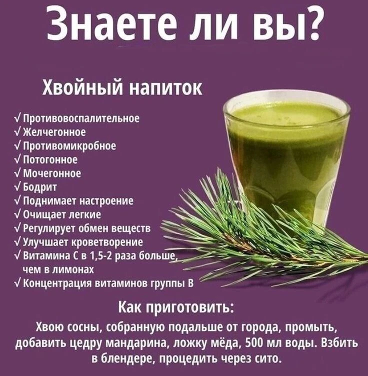 #хвоя   #полезный   #напиток